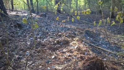 Foto des Albums: B- Wald Einsatz Nr. 51-771