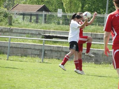 Foto des Albums: FC Falkenthaler Füchse - Häsener SV