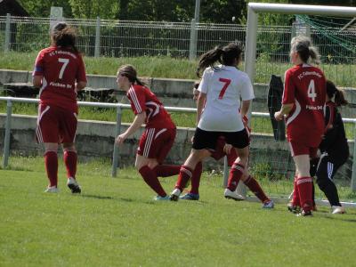 Foto des Albums: FC Falkenthaler Füchse - Häsener SV