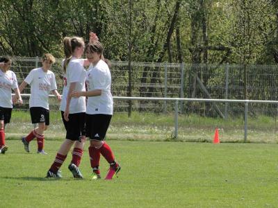 Foto des Albums: FC Falkenthaler Füchse - Häsener SV