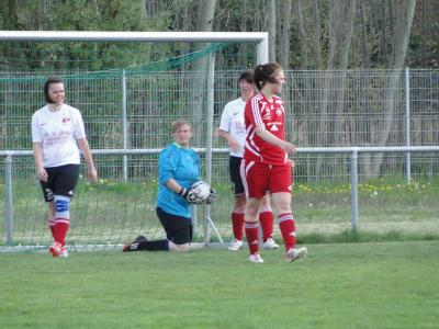 Foto des Albums: FC Falkenthaler Füchse - Häsener SV
