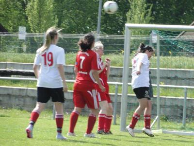 Foto des Albums: FC Falkenthaler Füchse - Häsener SV