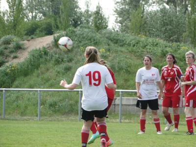 Foto des Albums: FC Falkenthaler Füchse - Häsener SV