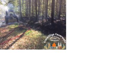 ausgebrannter Traktor und Brandfl&auml;che im Wald 