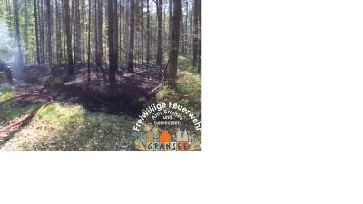 Brandfl&auml;che im Wald 