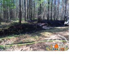 Brandfl&auml;che im Wald 