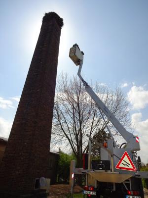 Foto des Albums: Installation Storchen-LiveCam am Storchennest der Astrid-Lindgren-Grundschule (17. 05. 2016)