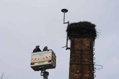 Foto des Albums: Installation Storchen-LiveCam am Storchennest der Astrid-Lindgren-Grundschule (17. 05. 2016)