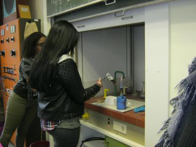 Foto des Albums: Projektmesse der 9. Klassen für die 8. Klassen