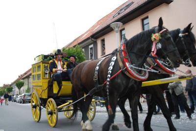 Foto des Albums: Kuhschwanzfest 2016