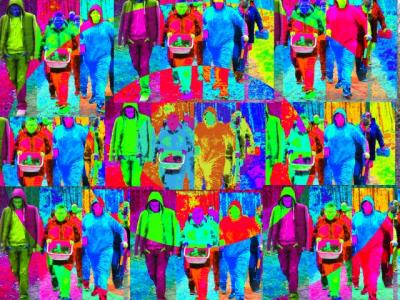 Foto des Albums: Waldkunst