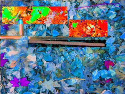 Foto des Albums: Waldkunst