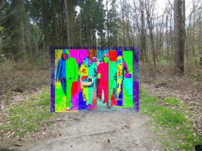 Foto des Albums: Waldkunst