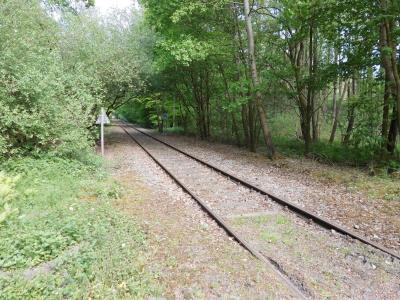 Foto des Albums: Einsatz Personensuche Draisinenstrecke