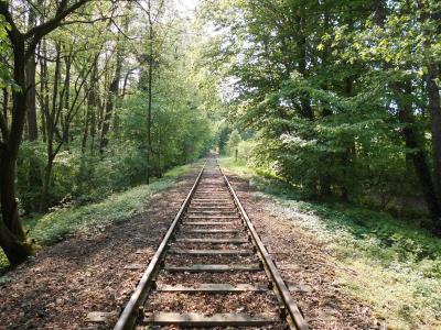 Foto des Albums: Einsatz Personensuche Draisinenstrecke