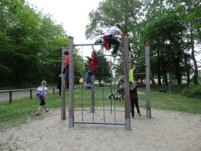Foto des Albums: Thementage "Haustiere"