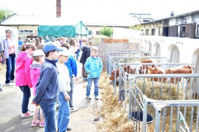 Foto des Albums: Bauernmarkt Schmachtenhagen