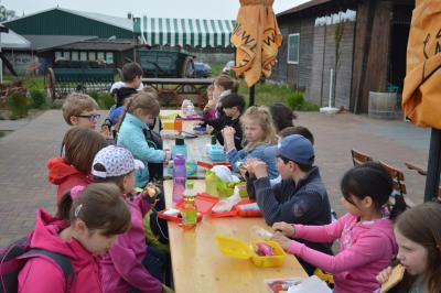 Foto des Albums: Bauernmarkt Schmachtenhagen