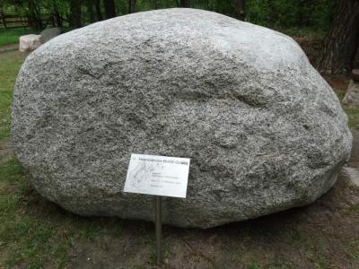Hornblende-Biotit-Granit 