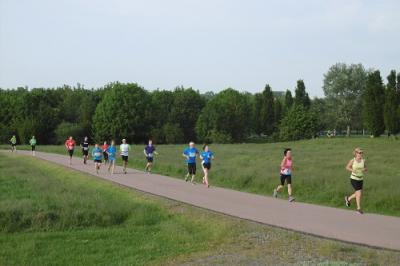 Foto des Albums: Seelandlauf 2016