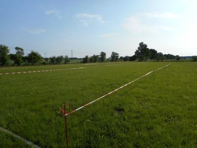 Foto des Albums: Stadtjugendfeuerwehrtag 2016