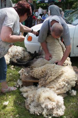 Foto des Albums: 29. Bauernmarkt in Falkenberg/Elster am 22. Mai 2016 (01. 06. 2016)