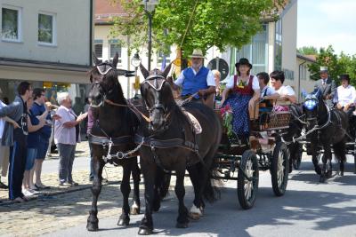 Kutschenumzug 2016 