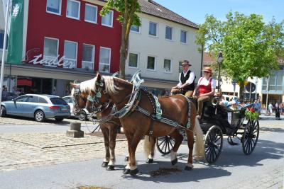 Kutschenumzug 2016 