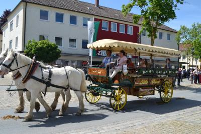 Kutschenumzug 2016 