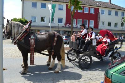 Kutschenumzug 2016 