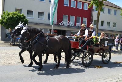 Kutschenumzug 2016 