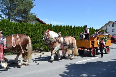 Kutschenumzug 2016 