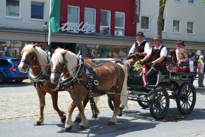 Kutschenumzug 2016 