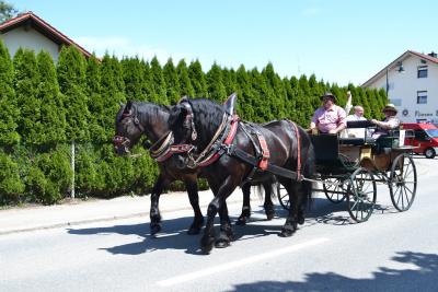 Kutschenumzug 2016 