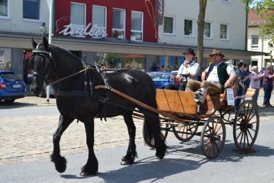 Kutschenumzug 2016 