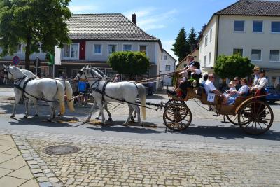 Kutschenumzug 2016 