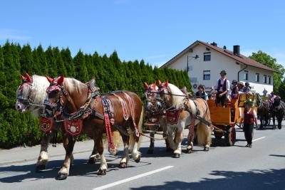 Kutschenumzug 2016 