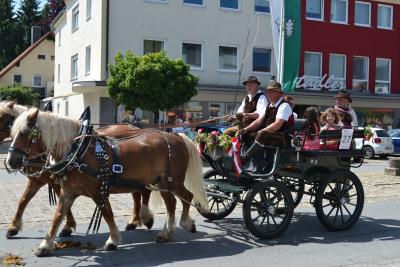Kutschenumzug 2016 
