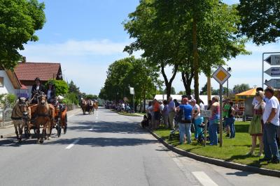 Kutschenumzug 2016 