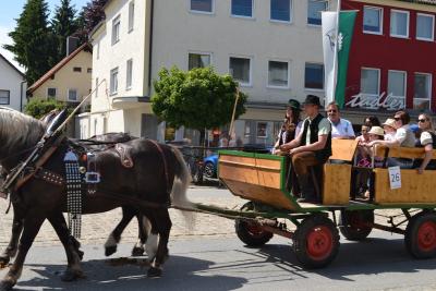 Kutschenumzug 2016 