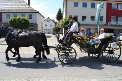 Kutschenumzug 2016 