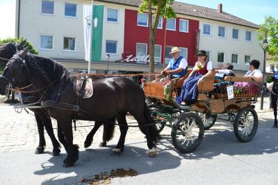 Kutschenumzug 2016 