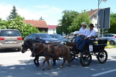 Kutschenumzug 2016 