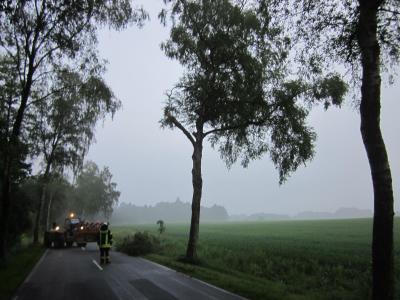 Foto des Albums: Einsatz Baum auf Straße Luller Str.