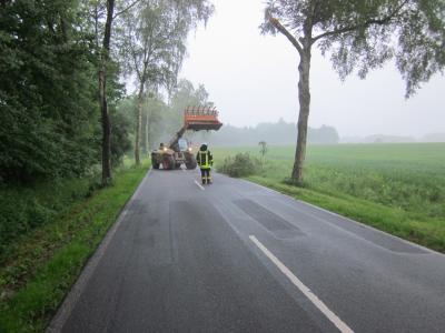 Foto des Albums: Einsatz Baum auf Straße Luller Str.