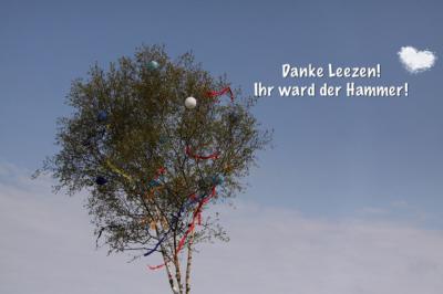 Foto des Albums: Kinder- und Familienfest 1. Mai 2016