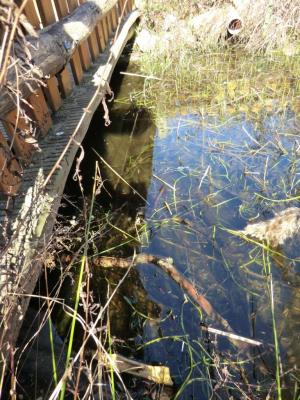 Foto des Albums: Arbeitseinsatz im April 2016
