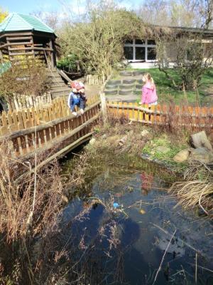 Foto des Albums: Froschbeobachtungen im Kita-Teich 2016