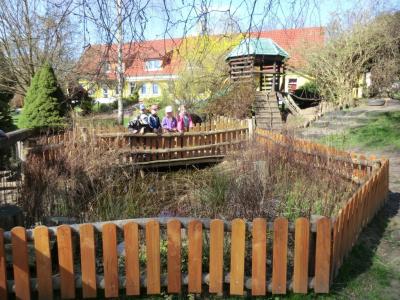 Foto des Albums: Froschbeobachtungen im Kita-Teich 2016