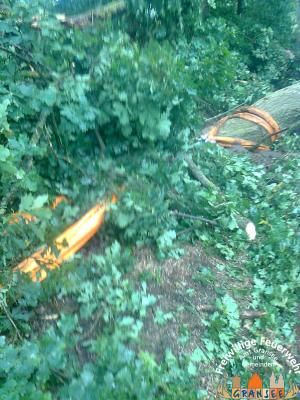 Foto des Albums: Einsatz 926 H: Natur Altlüdersdorf Ri. Wentow